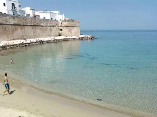 My Monopoli -Casa Dei Fiori Suite "Tulipano Nero" Centro Storico Dış mekan fotoğraf